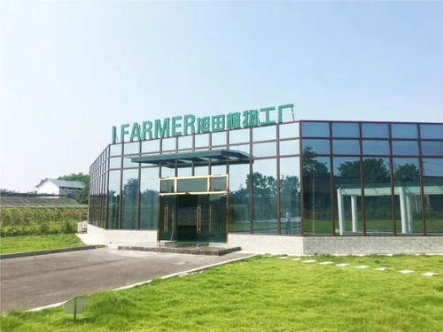 陜西旭田植物工廠在渝成功投產，總投資約800萬助力現代農業發展